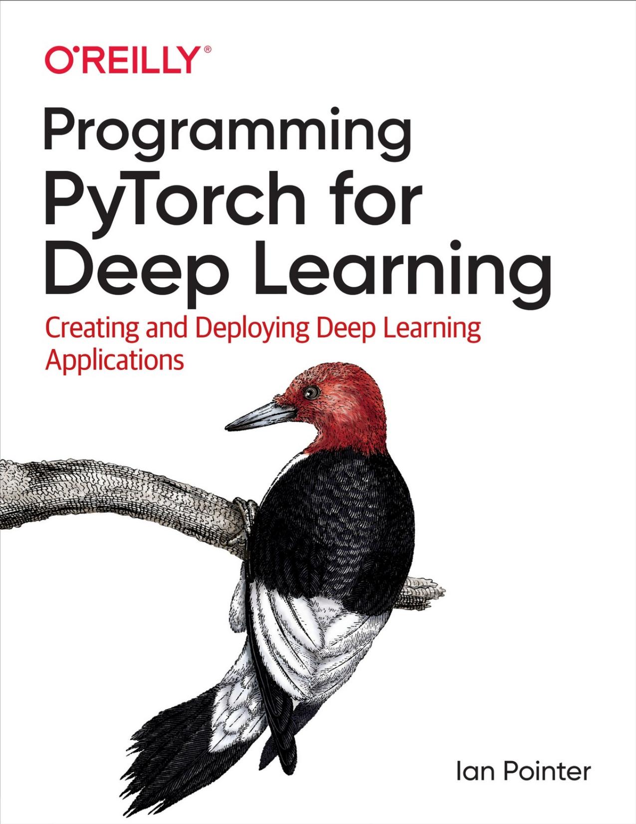 Programming PyTorch for Deep Learning by Ian Pointer