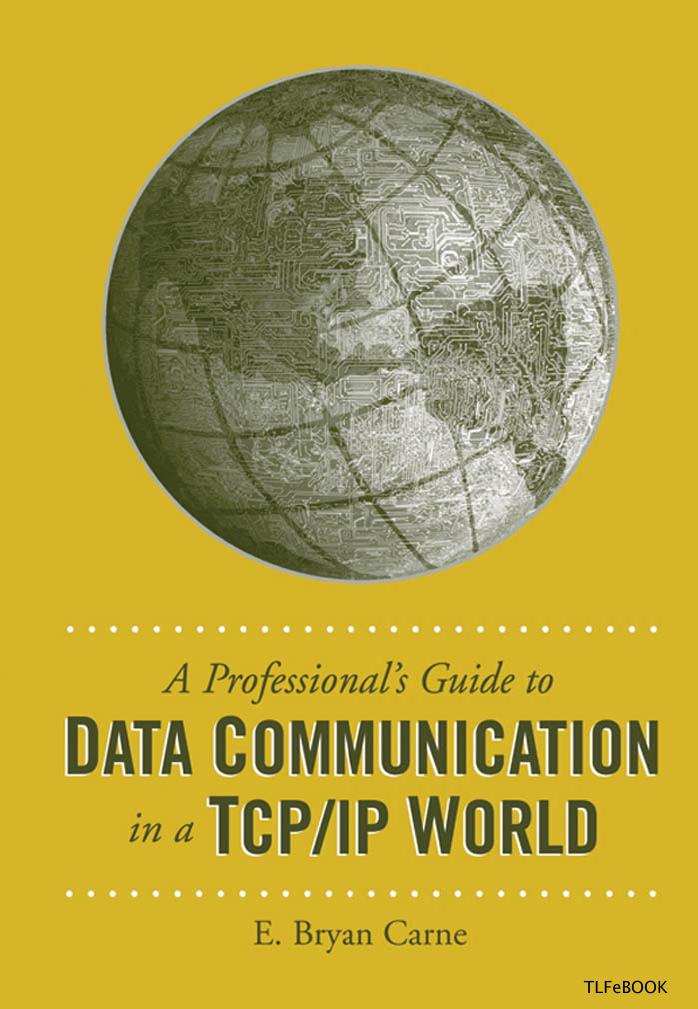 Artech House A Professionals Guide To Data Communication In A TCP/IP World